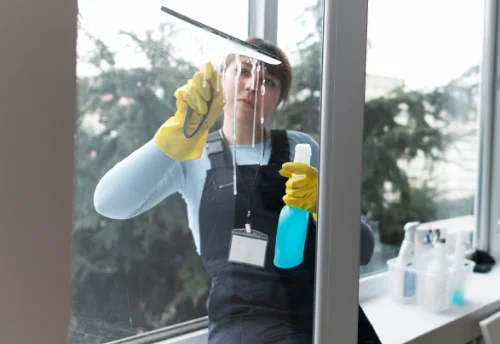 Nettoyage de vitres intérieures et extérieures à Brizay